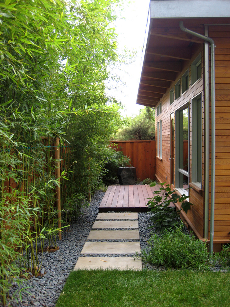 Inspiration for a traditional privacy side yard landscaping in San Francisco.