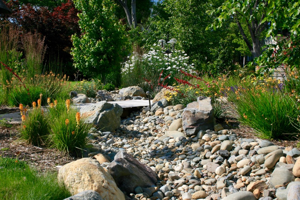 Immagine di un giardino xeriscape design davanti casa con un ingresso o sentiero