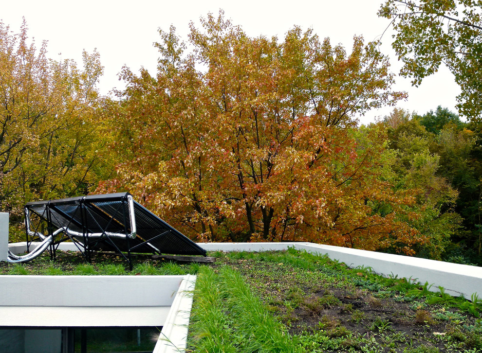 Moderner Dachgarten im Herbst in Sonstige
