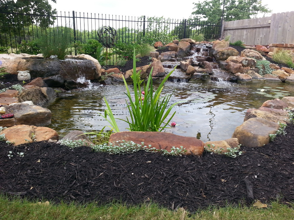 Ecosystem Ponds, Water Garden Ideas for Your Austin, Central Texas