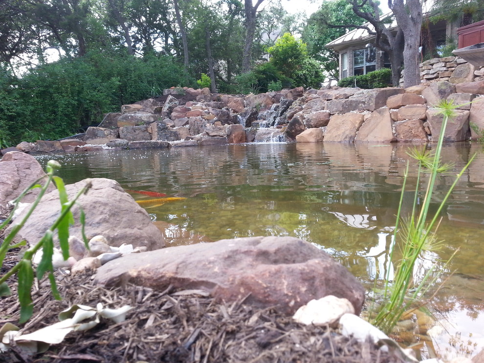 Ecosystem Ponds, Water Garden Ideas for Your Austin, Central Texas