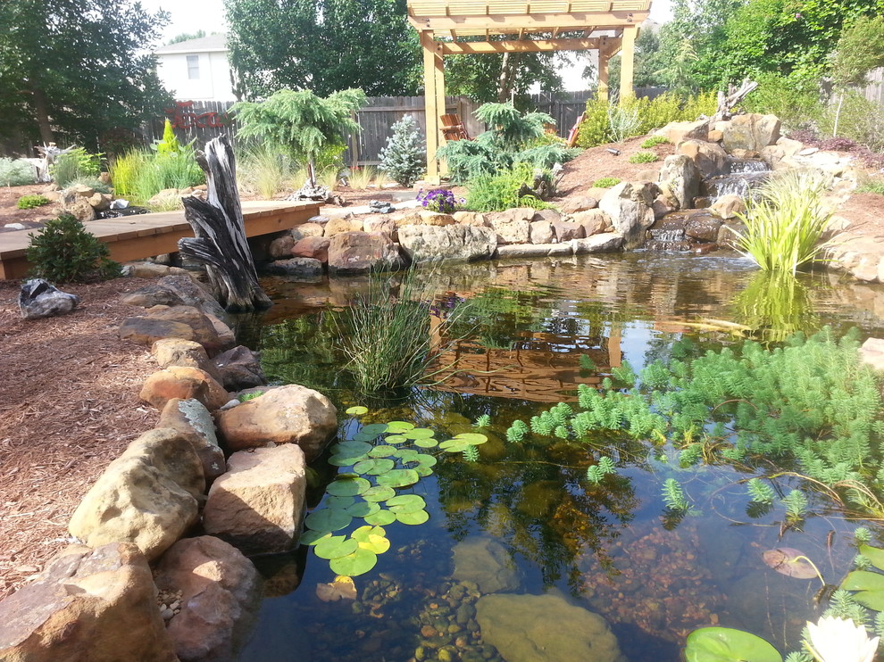 Ecosystem Ponds, Water Garden Ideas for Your Austin, Central Texas