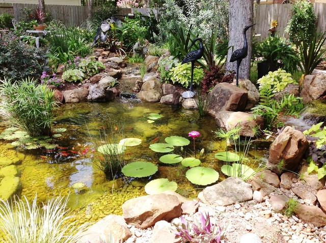 Ecosystem Ponds, Water Garden Ideas for Your Austin, Central Texas ...