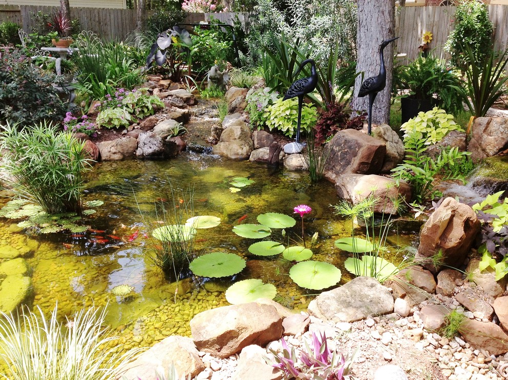 Ecosystem Ponds, Water Garden Ideas for Your Austin, Central Texas