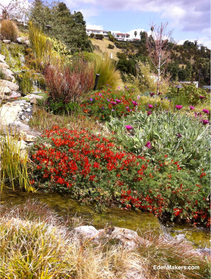 Inspiration for a large mediterranean sloped full sun garden in Los Angeles with a water feature.