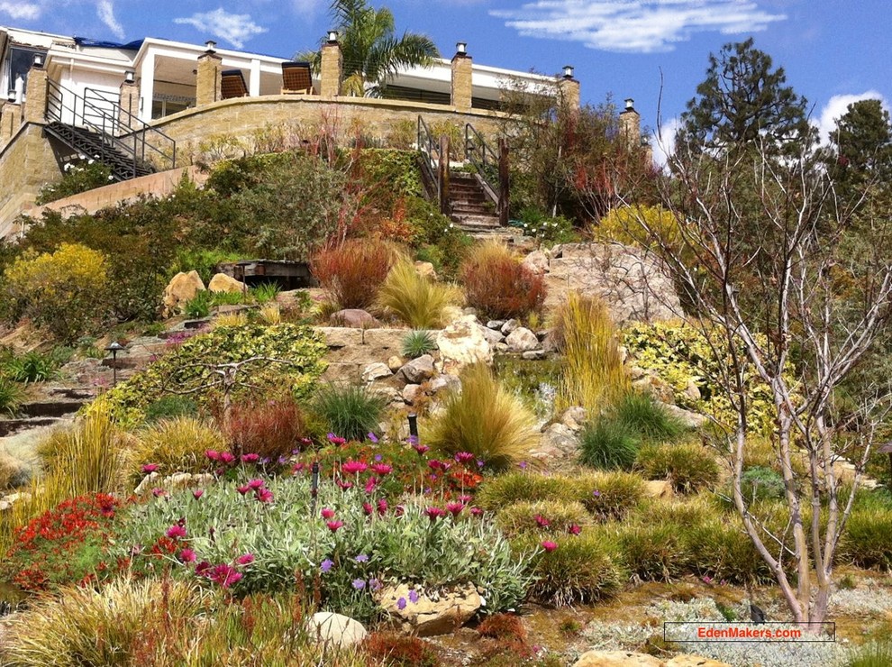 This is an example of a large mediterranean drought-tolerant hillside landscaping in Los Angeles.