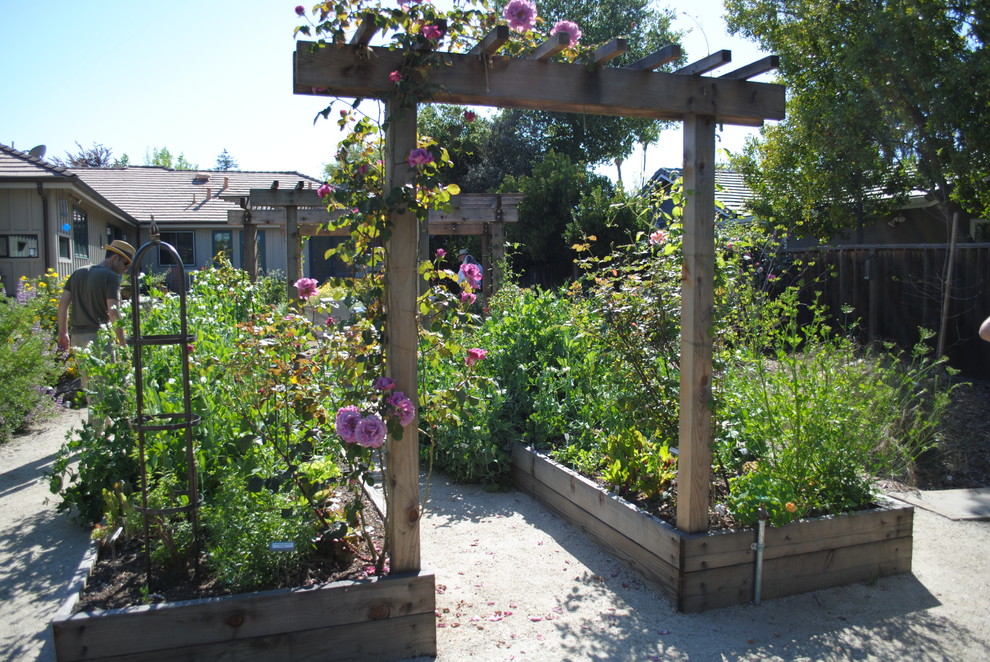 Photo of a farmhouse garden in San Francisco with a vegetable patch.