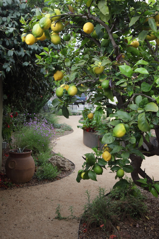 Photo of a farmhouse drought-tolerant stone garden path in Los Angeles.