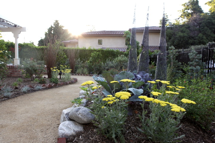 Design ideas for a traditional landscaping in Los Angeles.