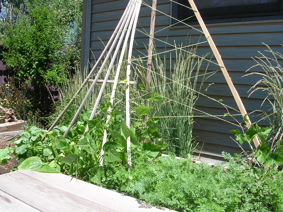 Inspiration for a mid-sized eclectic full sun side yard vegetable garden landscape in Denver for fall.