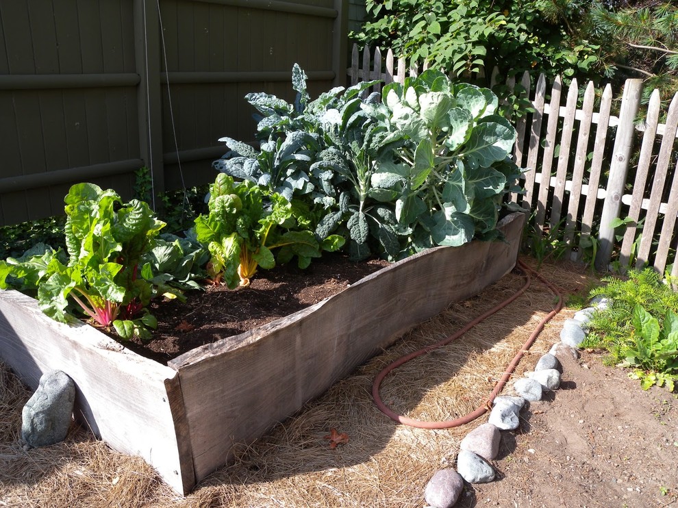 Photo of a small rustic full sun backyard landscaping in Other for spring.