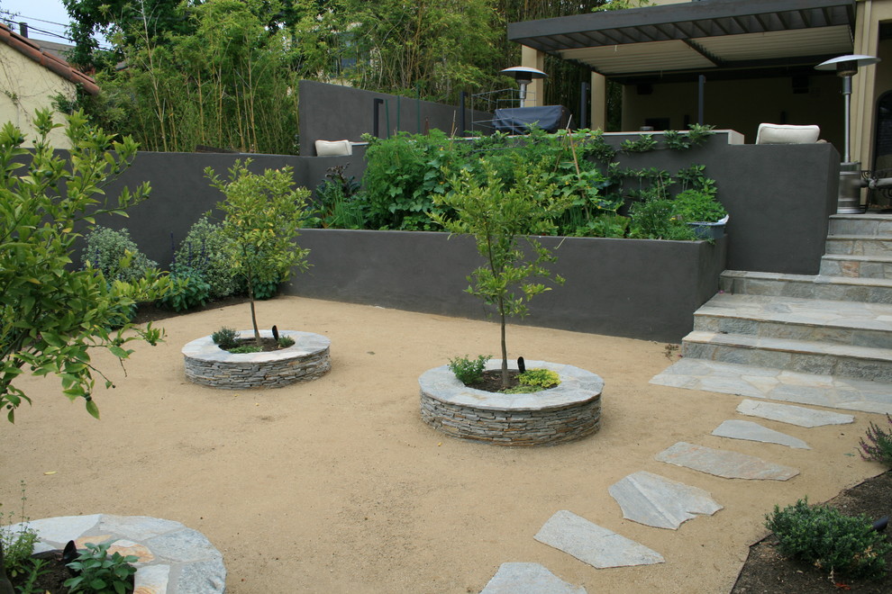 Стильный дизайн: солнечный, весенний регулярный сад среднего размера на заднем дворе в современном стиле с растениями в контейнерах и хорошей освещенностью - последний тренд