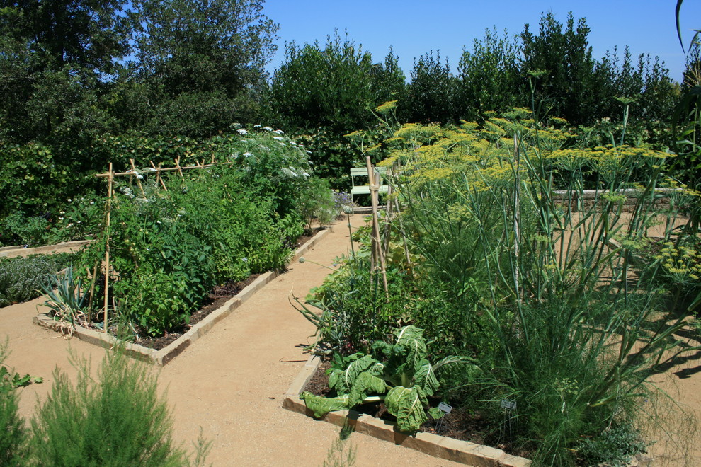 Esempio di un giardino formale mediterraneo esposto in pieno sole di medie dimensioni e dietro casa in primavera con un giardino in vaso