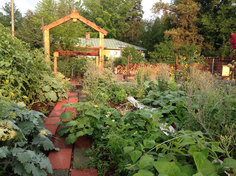 На фото: огород на участке на заднем дворе в стиле кантри с
