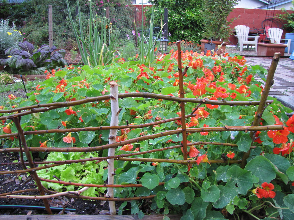 Photo of a garden in Orange County.