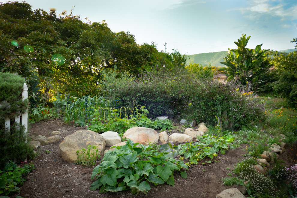 Foto di un orto in giardino stile rurale esposto in pieno sole con un pendio, una collina o una riva e pacciame