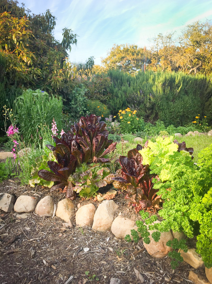 Ispirazione per un orto in giardino contemporaneo esposto in pieno sole dietro casa con pacciame