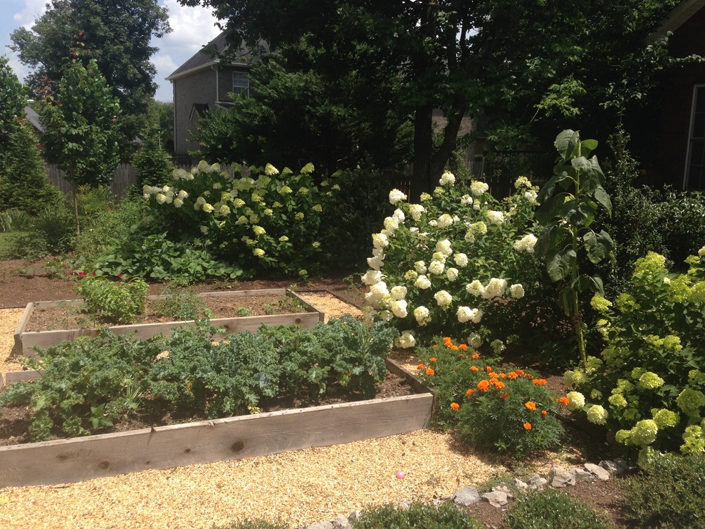 Idéer för en liten klassisk formell trädgård i full sol längs med huset på sommaren, med en köksträdgård och marktäckning