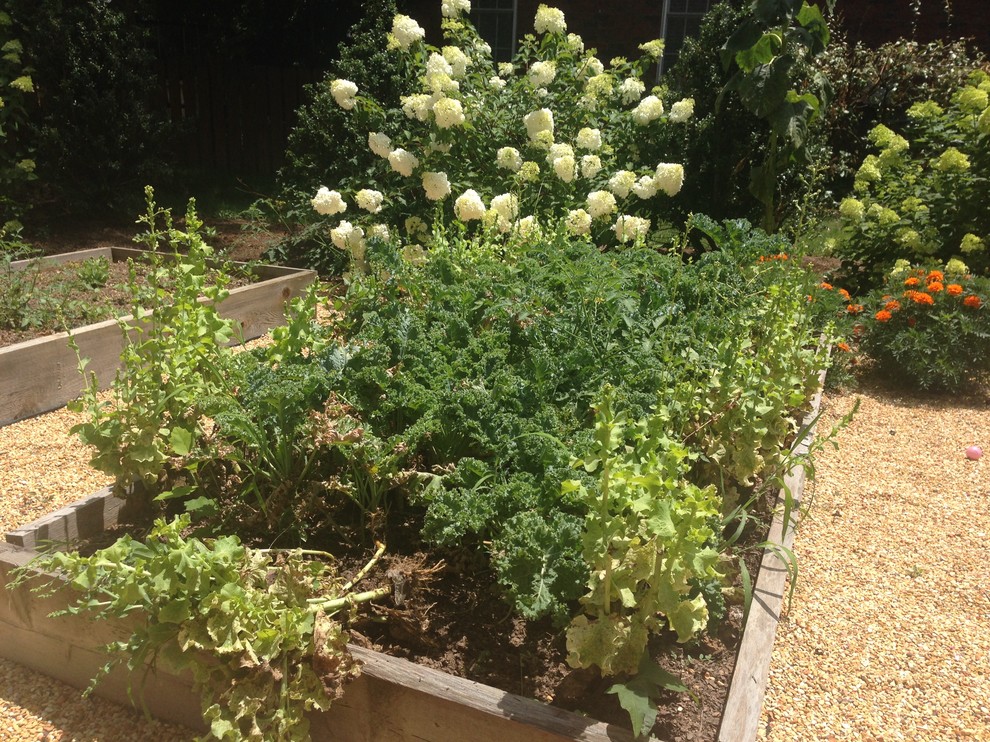 Cette photo montre un petit jardin latéral chic l'été avec une exposition ensoleillée et un paillis.