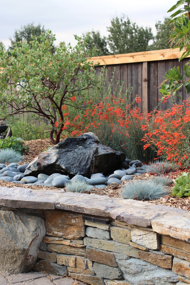 Photo of a contemporary garden in San Luis Obispo.