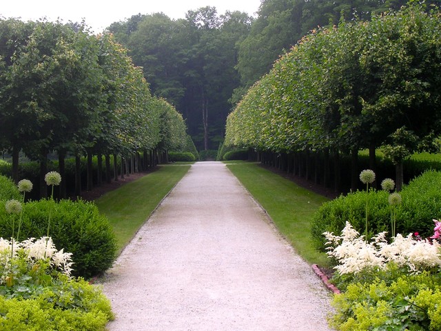 Edith Wharton's The Mount Gardens and Grounds - Classique - Jardin