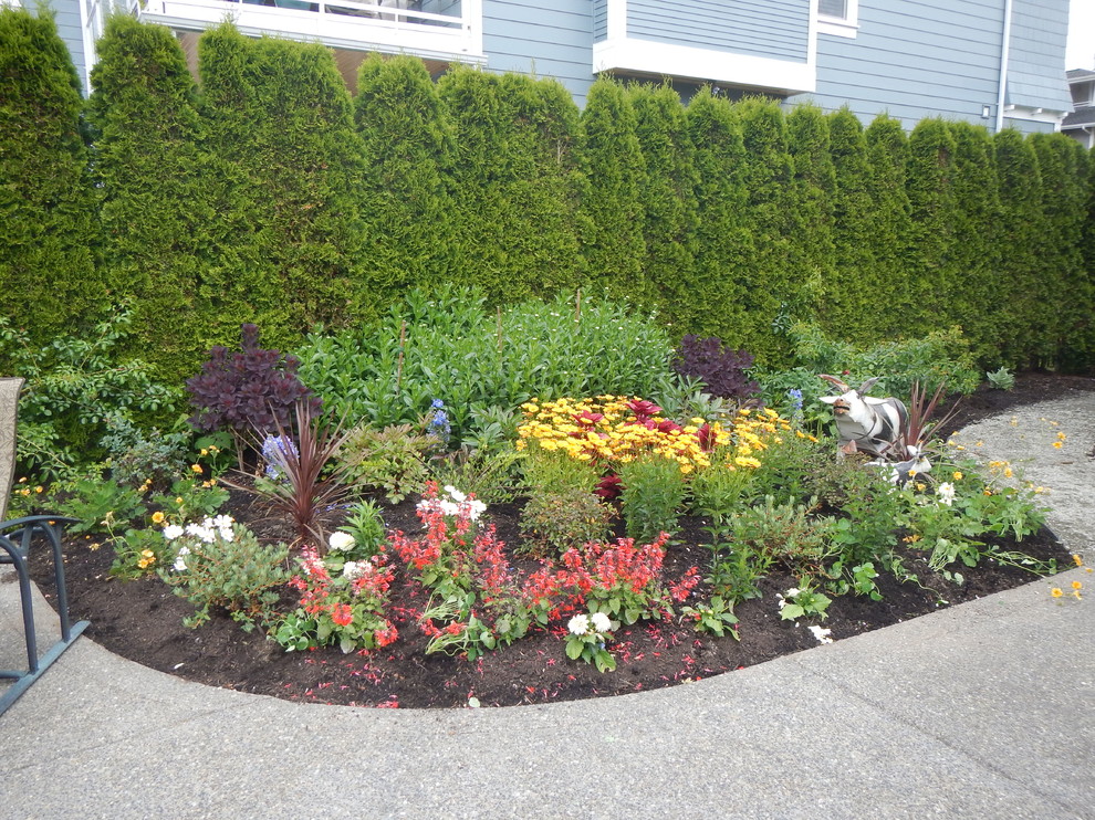 Kleiner Maritimer Garten im Innenhof im Sommer mit Auffahrt, Kübelpflanzen, direkter Sonneneinstrahlung und Mulch in Seattle