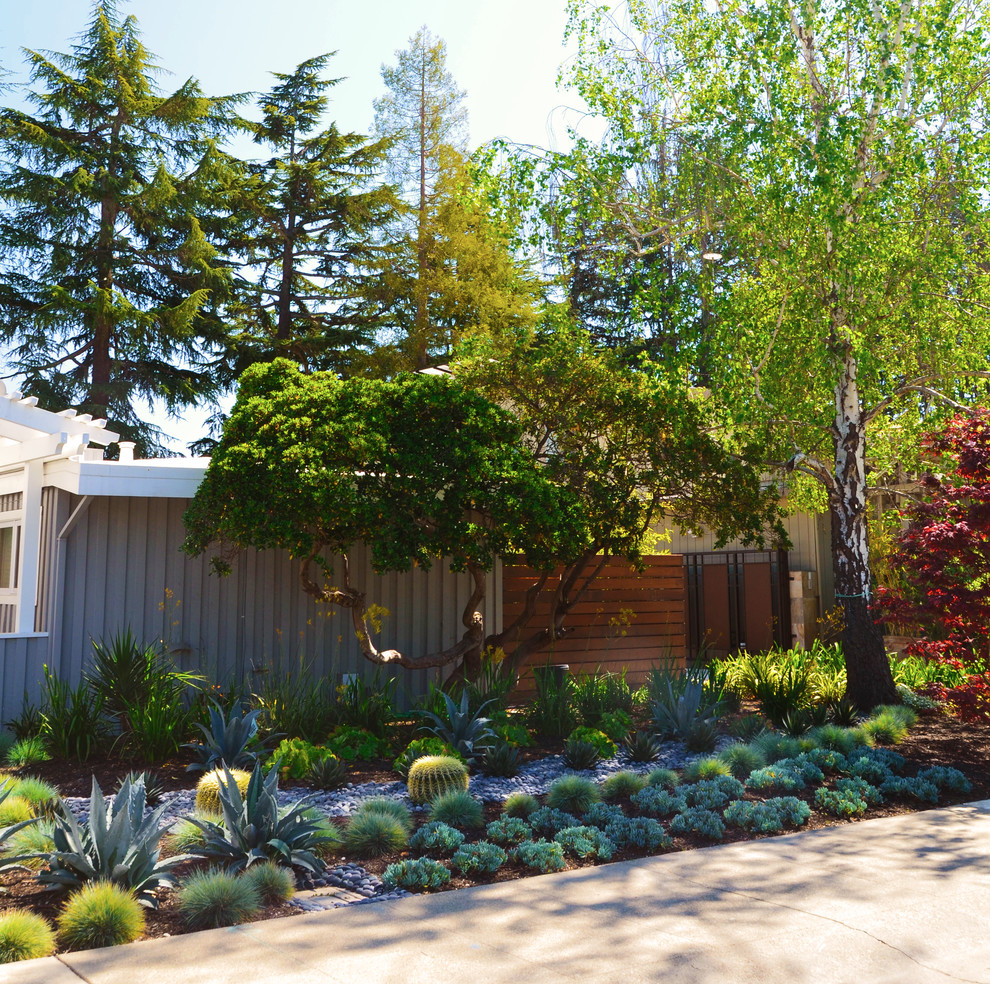 10 Landscaping Tips to Consider After Buying a New Home