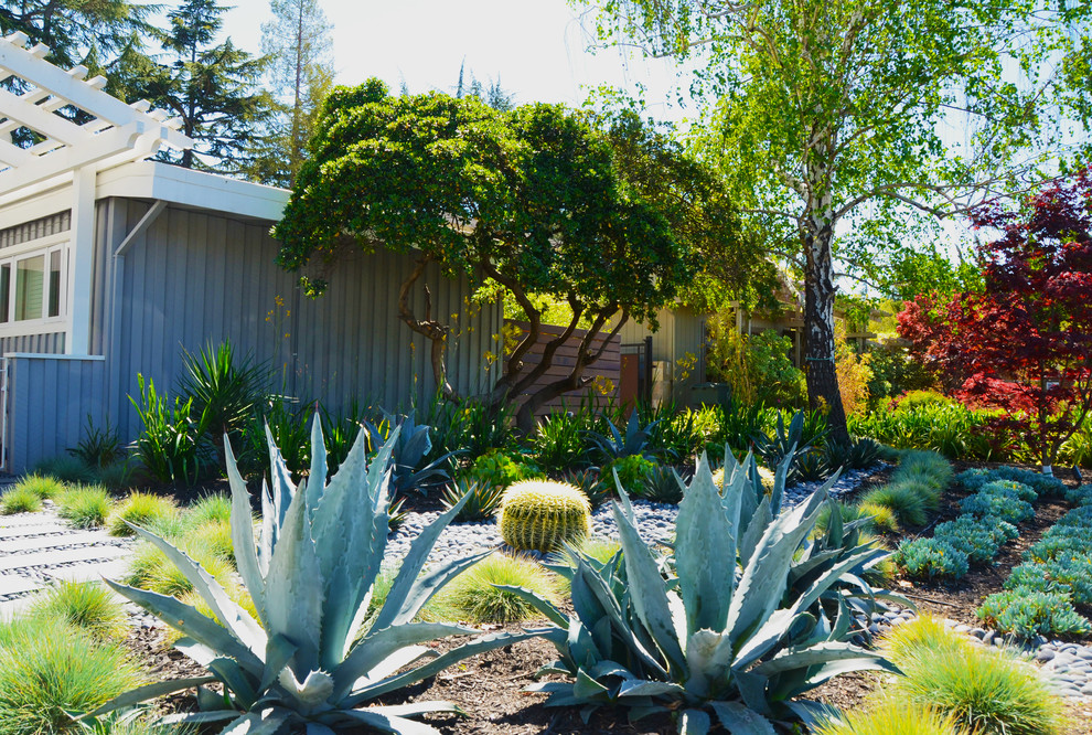 This is an example of a garden in San Francisco.