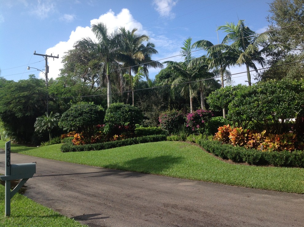 Idéer för stora tropiska trädgårdar i full sol framför huset