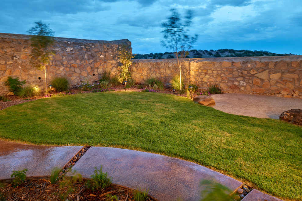 Diseño de camino de jardín de secano tradicional renovado en patio trasero con gravilla