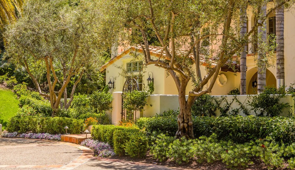 El Secreto Traditional Landscape San Diego by Terra Bella