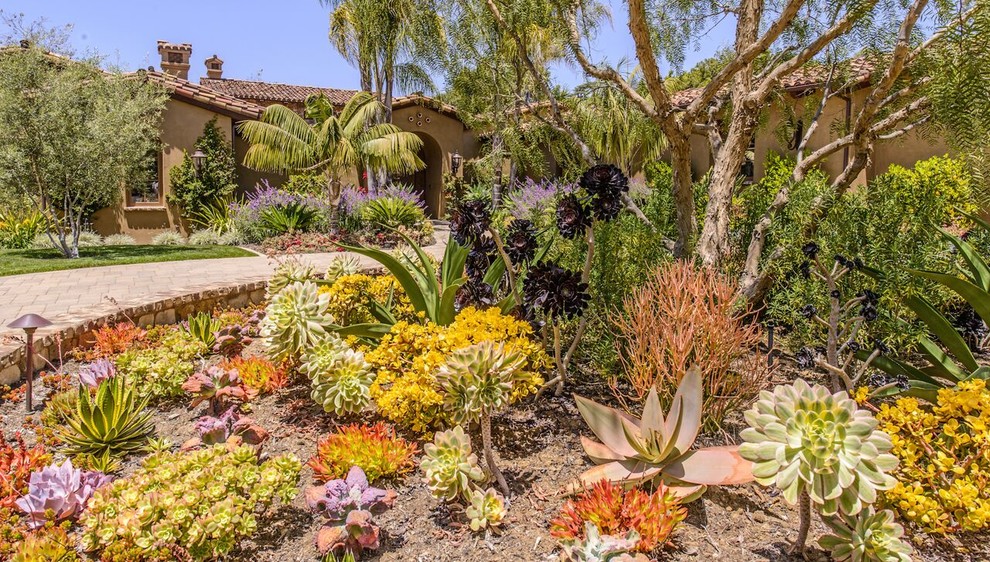 El Secreto Tropical Landscape San Diego by Terra Bella