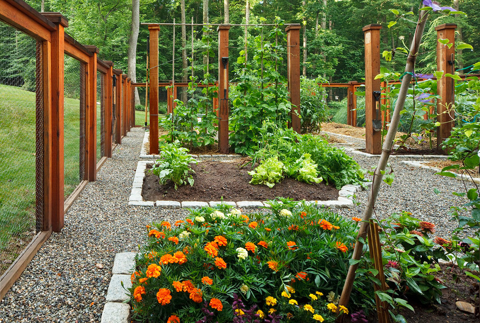 Ispirazione per un giardino classico di medie dimensioni e dietro casa con ghiaia e recinzione in legno