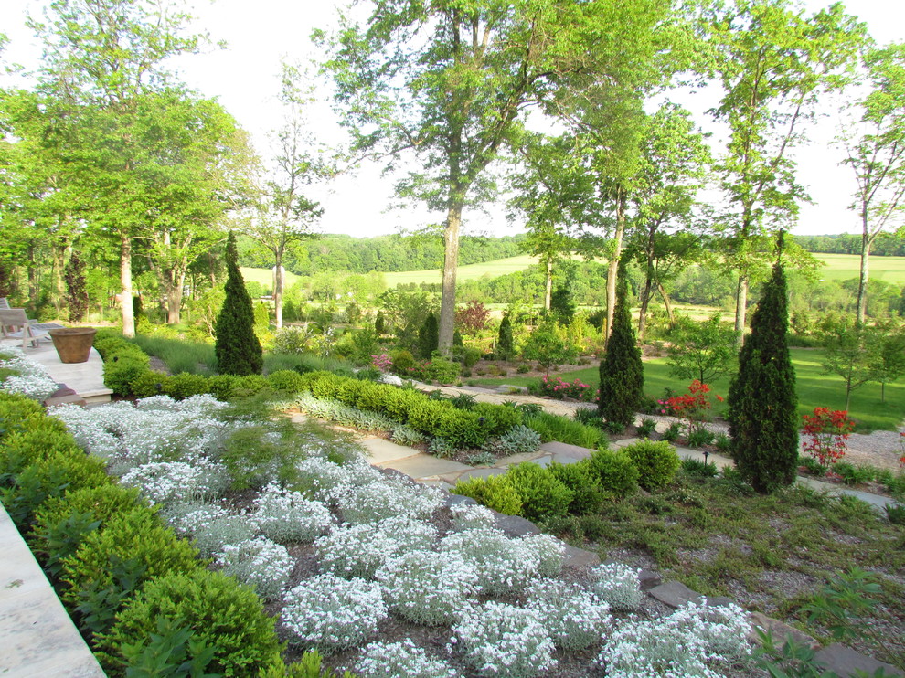 Immagine di un giardino mediterraneo dietro casa
