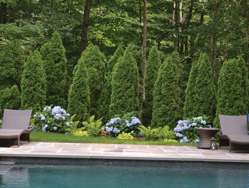 Cette photo montre un grand jardin arrière chic l'été avec un point d'eau, une exposition ensoleillée et des pavés en pierre naturelle.