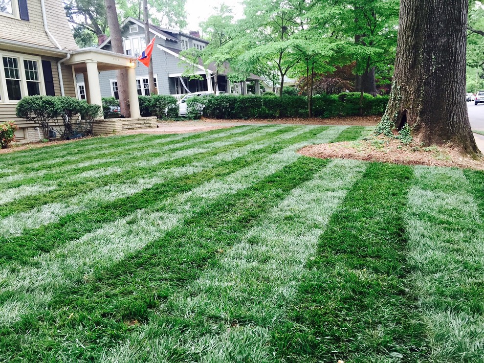 Elite Tall Fescue Lawn - Traditional - Landscape - Charlotte - by Super ...