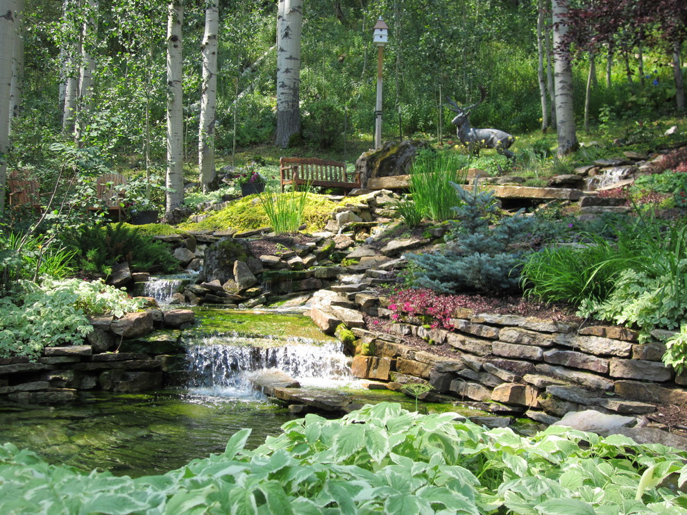 デンバーにある高級なラスティックスタイルのおしゃれな庭 (池、傾斜地) の写真
