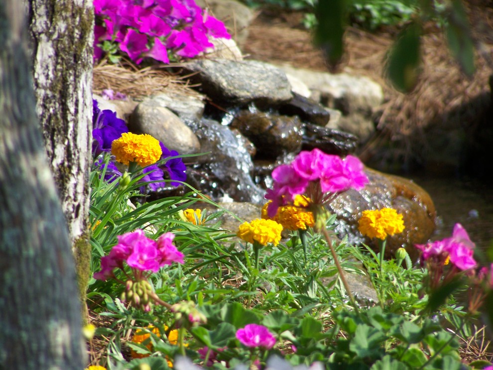 Aménagement d'un jardin avant moderne l'été avec un point d'eau, une exposition ensoleillée et des pavés en pierre naturelle.