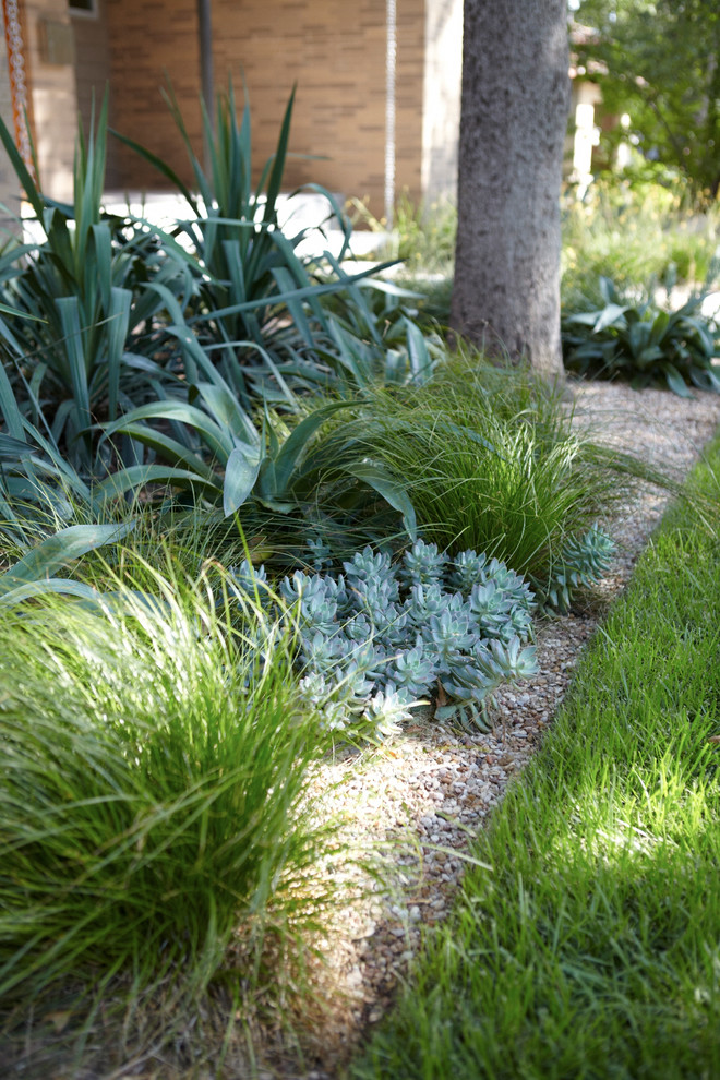 Elton Lane Residence Midcentury Landscape Austin by Studio