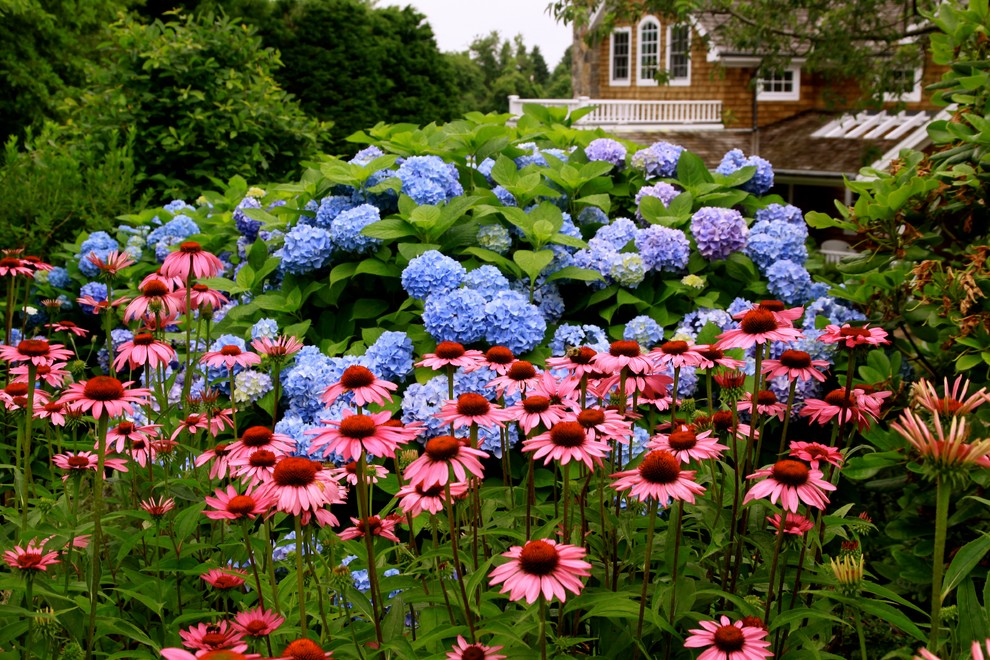 Inspiration for a traditional partial sun front yard garden path in Providence for summer.
