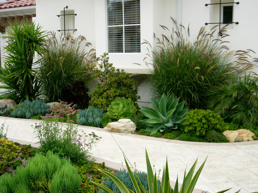 Ispirazione per un giardino xeriscape mediterraneo esposto in pieno sole davanti casa con pavimentazioni in cemento