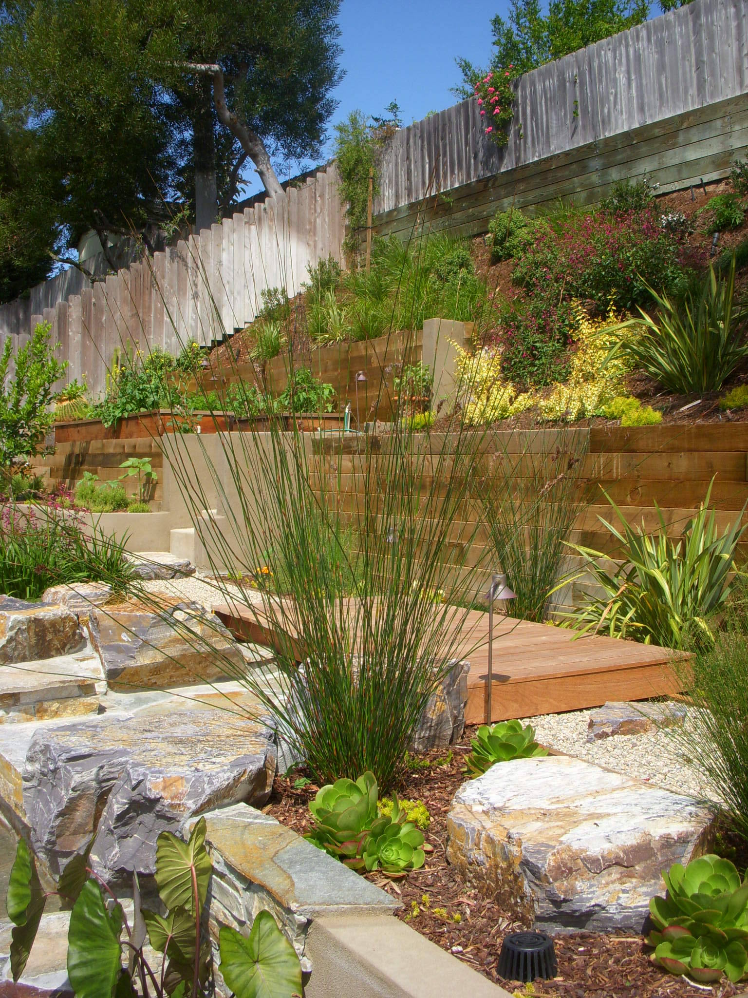 75 Beautiful Contemporary Sloped Garden Ideas Designs December 2021 Houzz Au