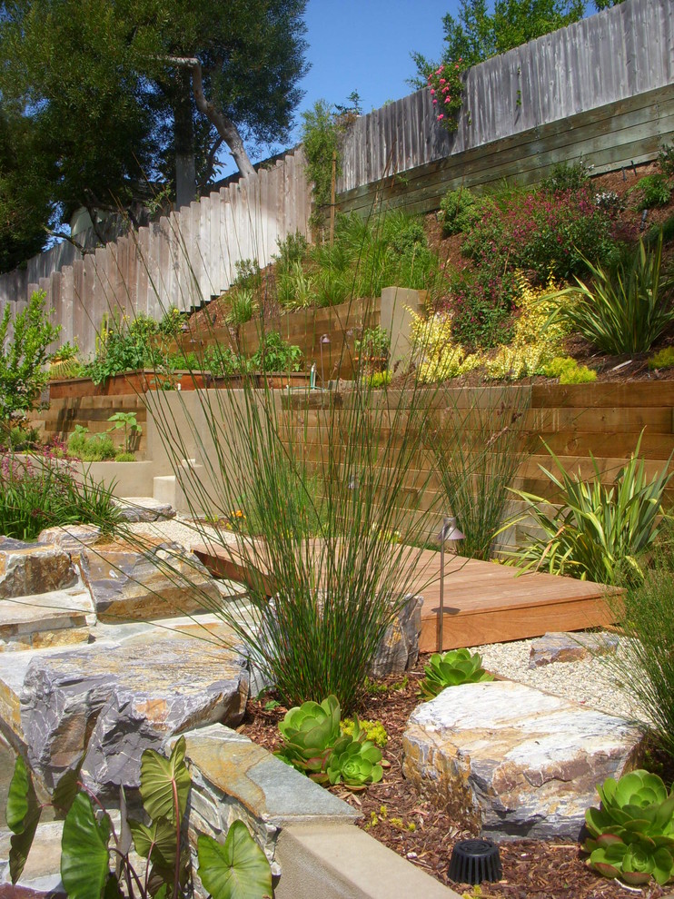 Cette image montre un jardin design avec un mur de soutènement et une pente, une colline ou un talus.
