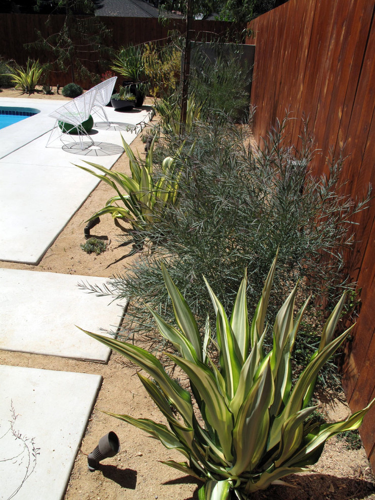 Encino 2 Modern Landscape Los Angeles by Foundation Landscape