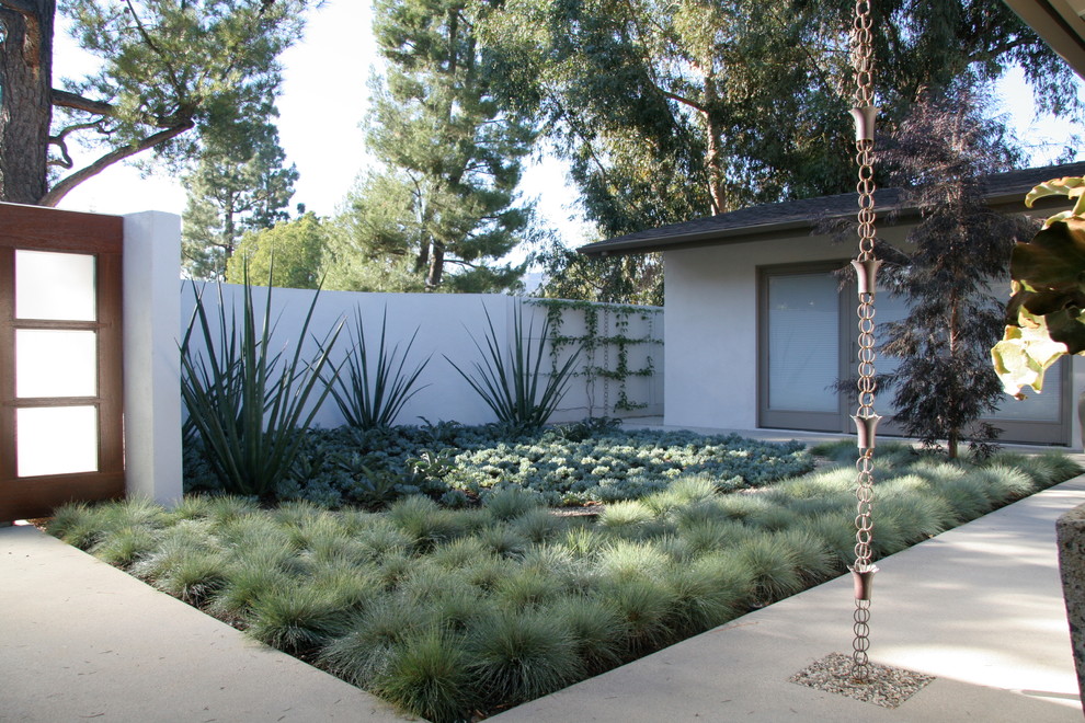 Photo of a mid-sized contemporary drought-tolerant and full sun backyard landscaping in Los Angeles.