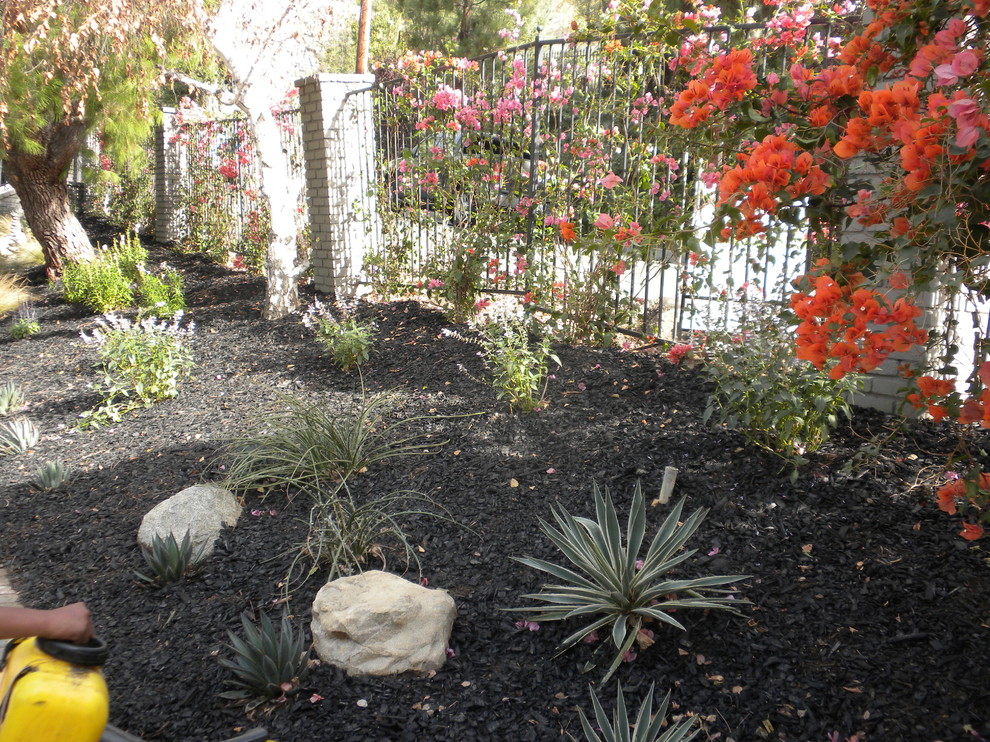 Encino Hills Makeover Contemporain Jardin Los Angeles par GLD