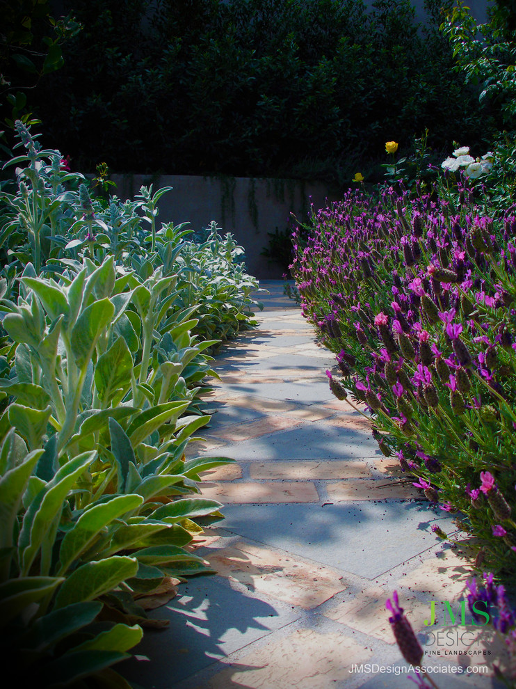 Photo of a coastal landscaping in Los Angeles.
