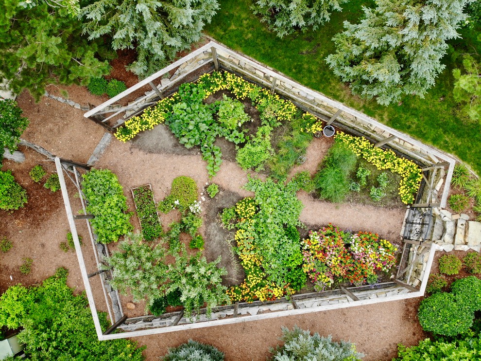 Cette image montre un grand jardin potager latéral traditionnel l'été avec une exposition ensoleillée et un paillis.