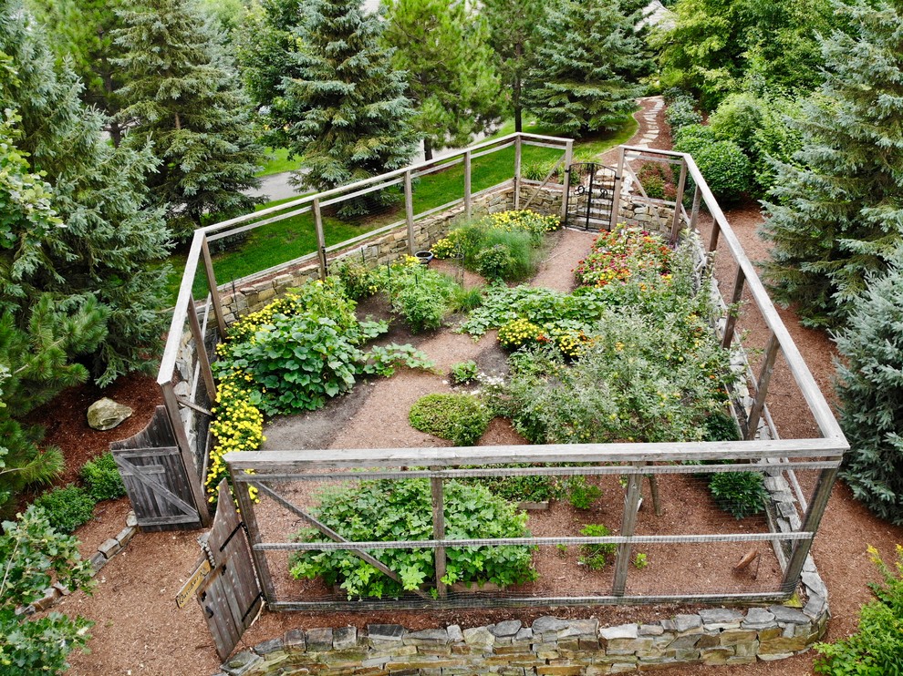 Großer, Geometrischer Uriger Gemüsegarten im Sommer, neben dem Haus mit direkter Sonneneinstrahlung, Mulch und Holzzaun in Minneapolis