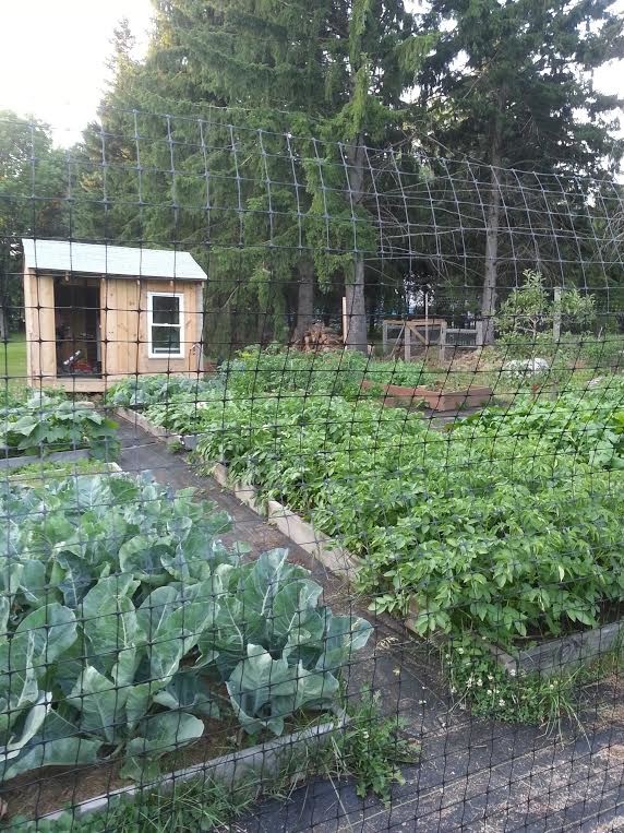 enclosed-vegetable-garden-with-raised-beds-farmhouse-landscape
